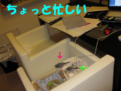b0158061_013139.jpg