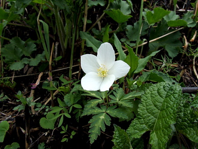 d0105063_16575623.jpg