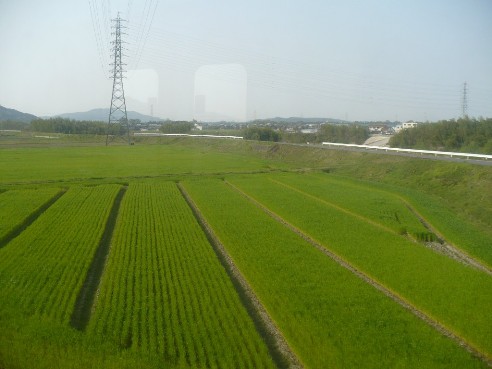 a0063364_2391835.jpg