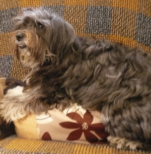 f0203369_2248783.jpg