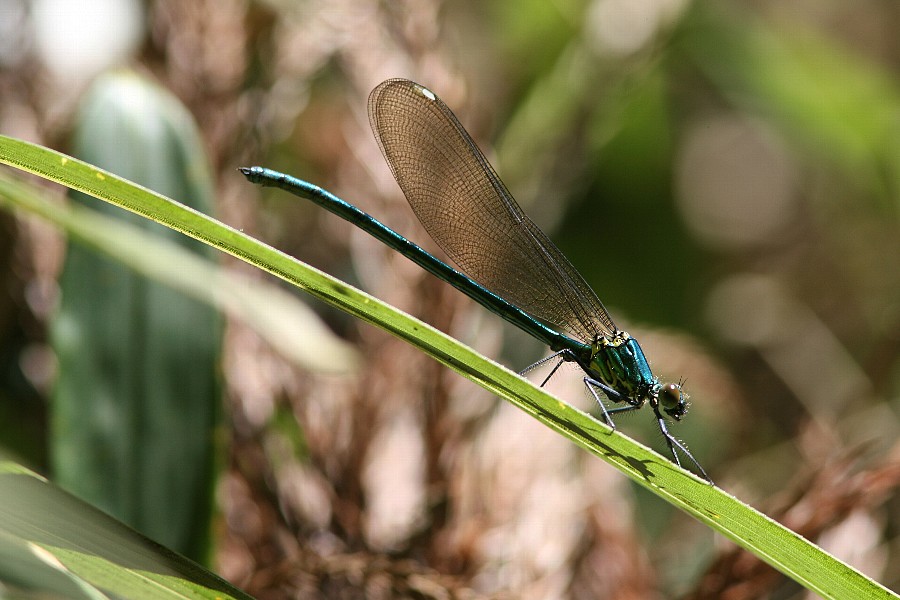 b0084270_2259521.jpg