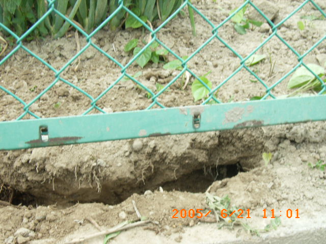 c0126271_15571487.jpg