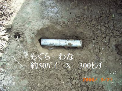 c0126271_15575965.jpg