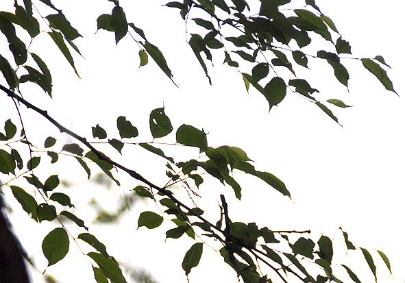 f0198771_181329.jpg