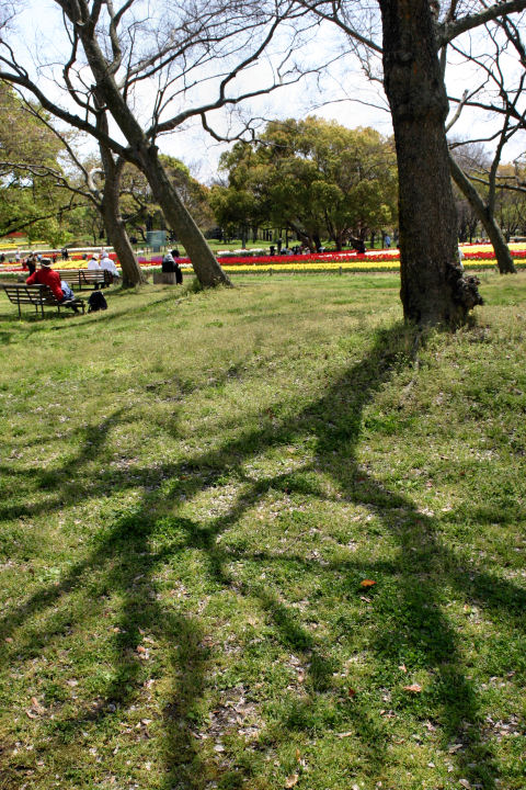 d0079373_21303898.jpg