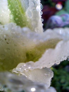 f0054677_9214595.jpg