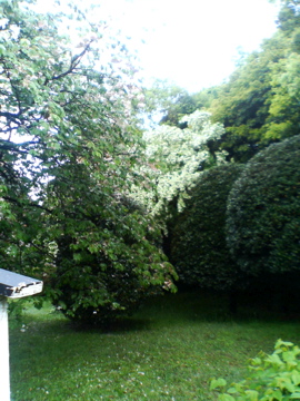 f0054677_9214815.jpg