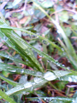 f0054677_9215513.jpg