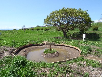 c0091679_1322339.jpg