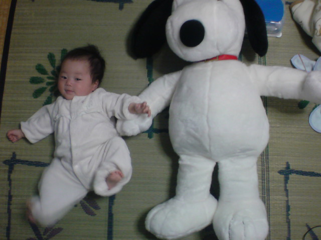 c0182782_174943.jpg