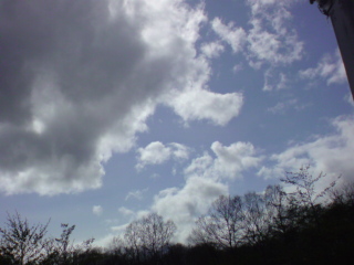 e0033384_12324423.jpg