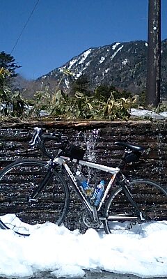 c0004487_0281441.jpg