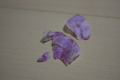 c0118387_2041558.jpg