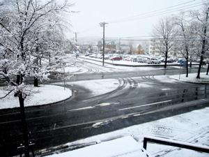 d0056490_8562563.jpg