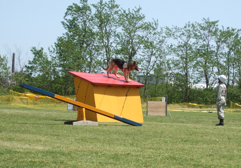 e0060693_18163224.jpg