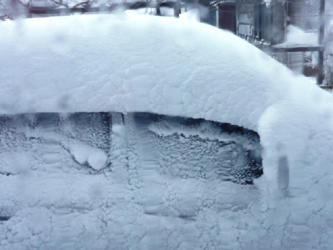 f0029393_534431.jpg