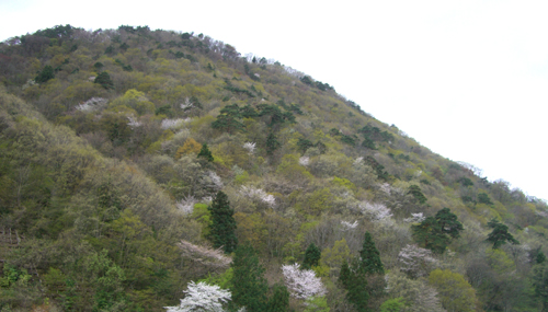 b0099994_1303770.jpg