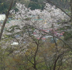 b0099994_136970.jpg