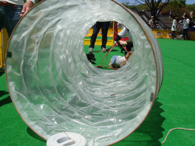 d0098295_23471981.jpg