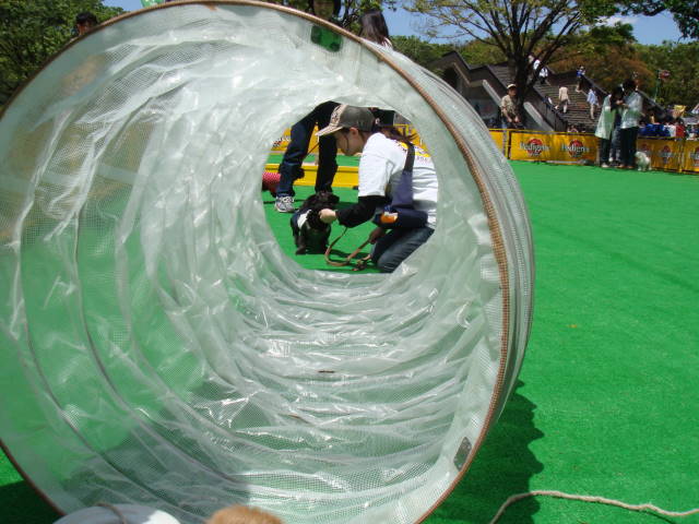 d0098295_234801.jpg