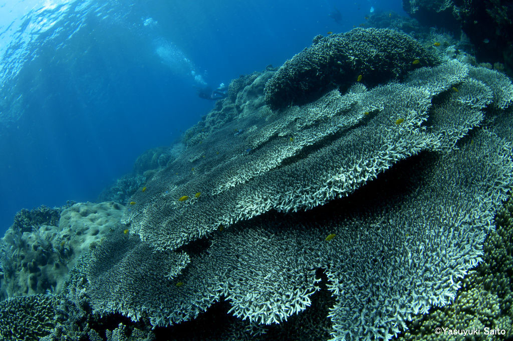 e0150695_2237547.jpg