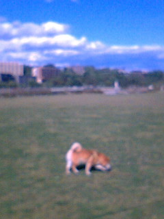 e0025596_064510.jpg