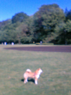 e0025596_065426.jpg