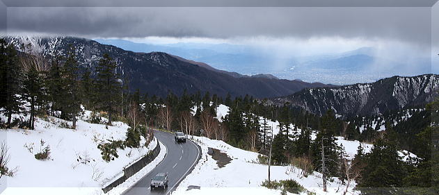 b0115497_5164472.jpg