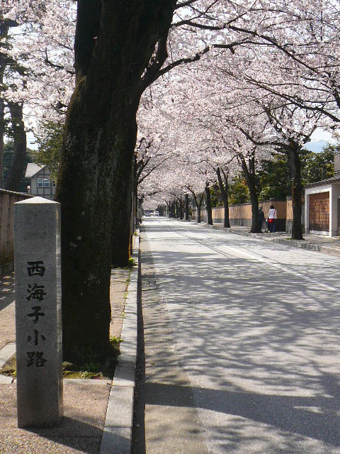a0053598_02458.jpg