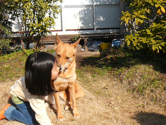 a0053598_05162.jpg