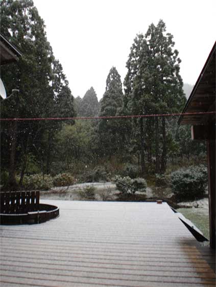 a0061599_7331694.jpg