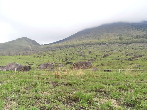f0187402_093215.jpg