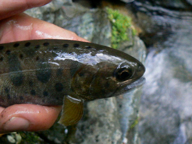 f0164503_22571911.jpg