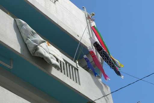 d0136804_8232543.jpg