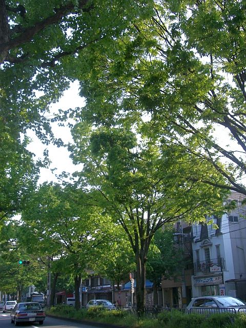 f0173605_1643958.jpg