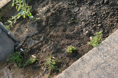 c0187008_23511642.jpg