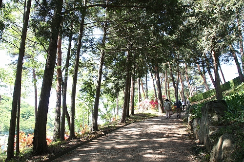 e0121110_21591775.jpg