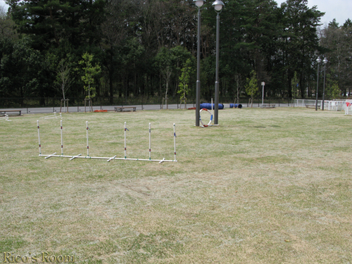 f0078014_135960.jpg