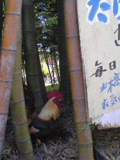 c0140616_21594733.jpg