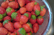 a0062324_0543674.gif
