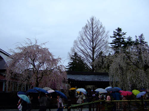 f0147025_20184737.jpg