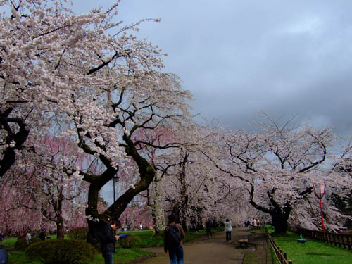 f0147025_2111666.jpg