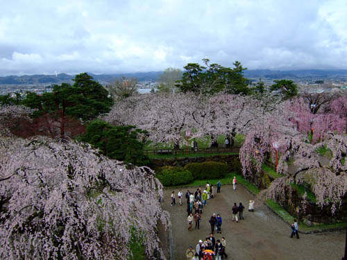f0147025_212571.jpg