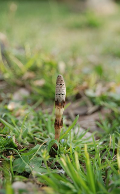 c0027027_22584794.jpg