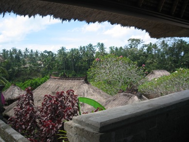 f0162528_1022143.jpg