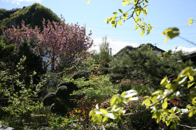 f0017530_22211738.jpg