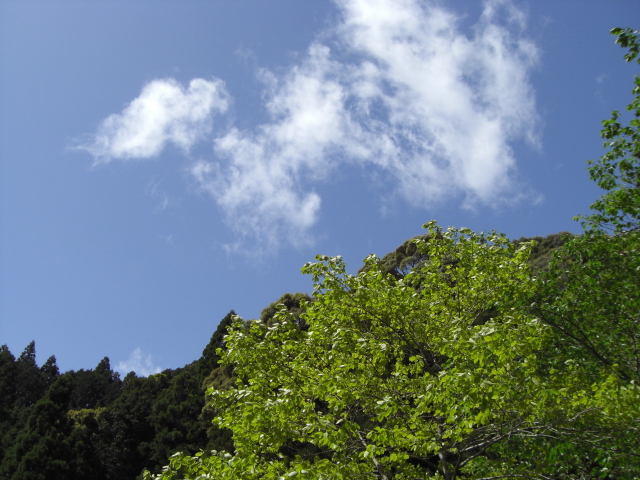 e0081334_145616.jpg
