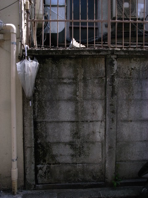 a0087341_7382066.jpg
