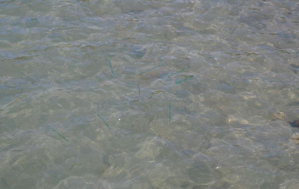 e0098241_14103690.jpg