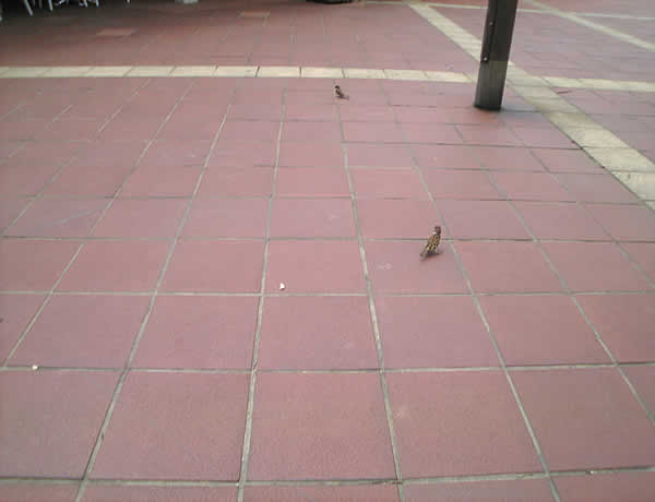 c0181543_2319564.jpg